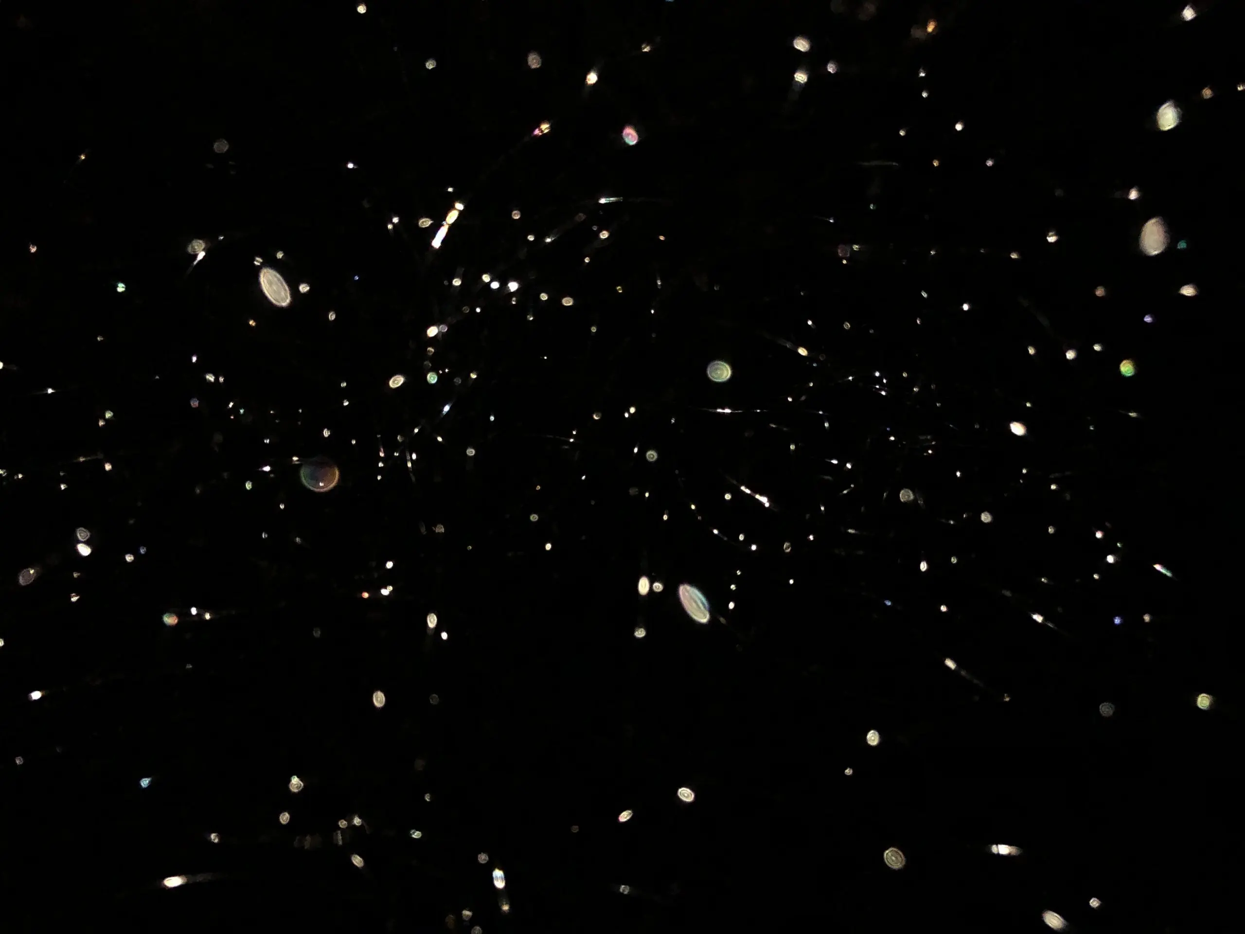 the outer space Experiment Christian Reimold & Yuhao Tang