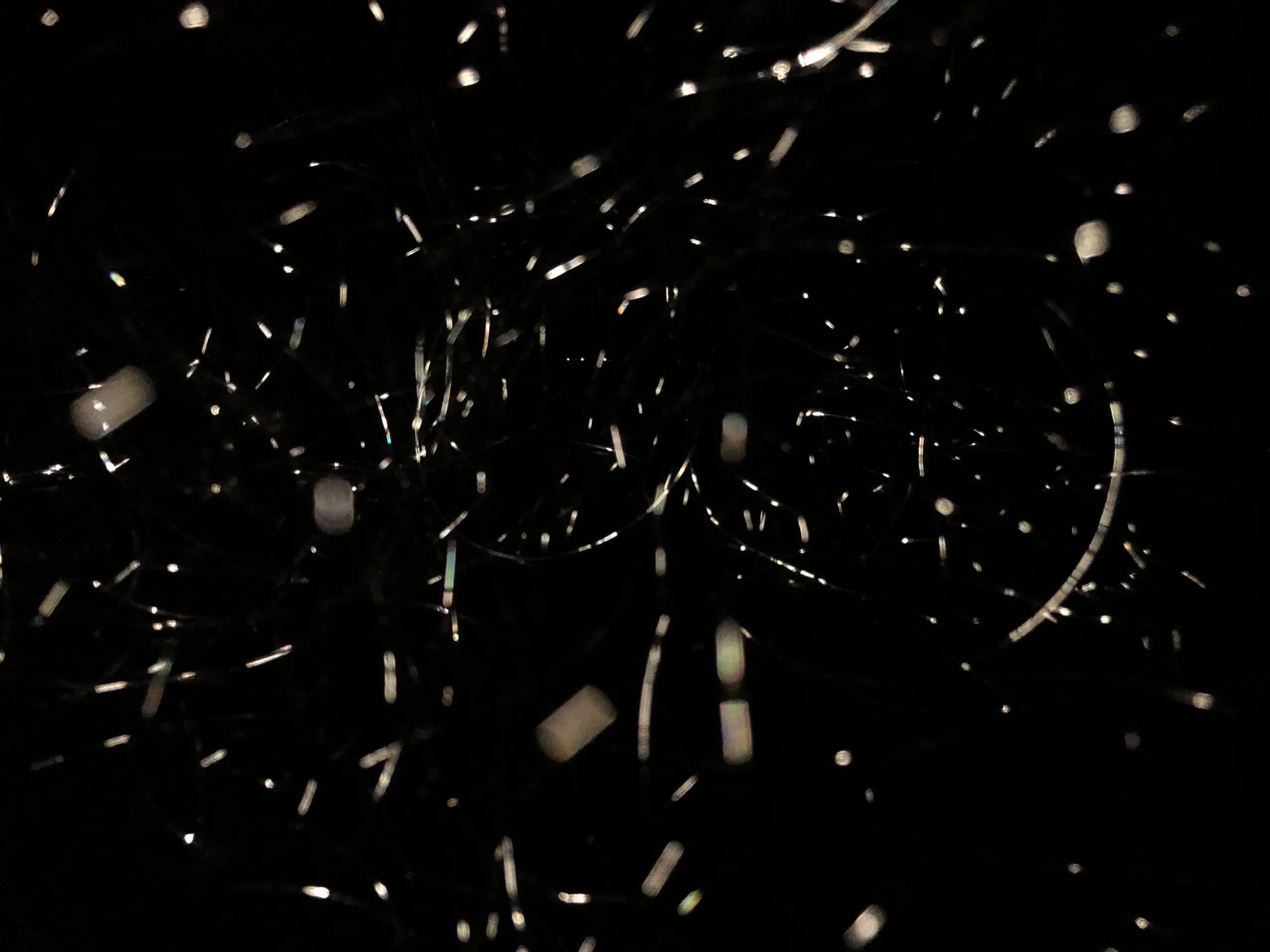 the outer space Experiment Christian Reimold & Yuhao Tang